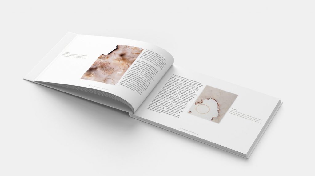 Project - Sight of Silence Sight of Silance by Ray Kass - interior spread