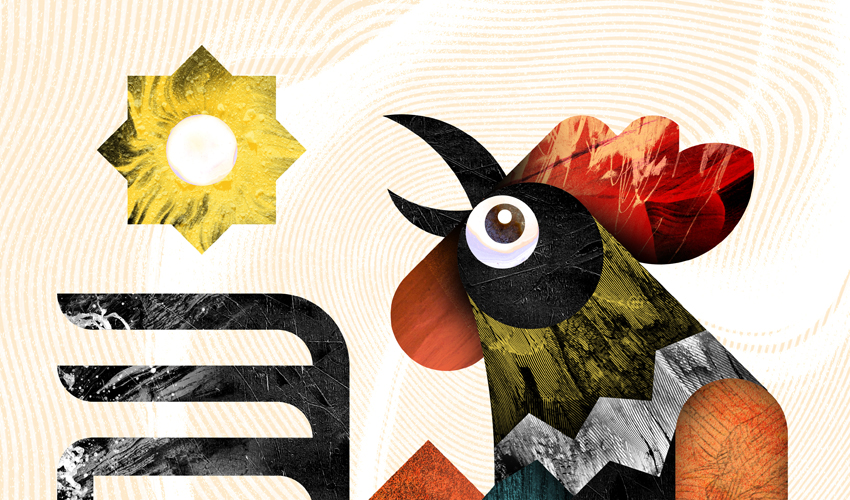 Rooster illustration thumbnail